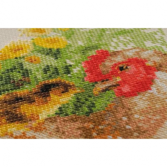 Набор для вышивания РИОЛИС арт.1480 Курица 30х30 см Набор для вышивания РИОЛИС арт.1480 Курица 30х30 см