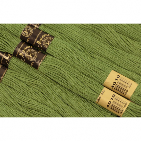 Нитки мулине цв.4010 зеленый 12х10м С-Пб Нитки мулине цв.4010 зеленый 12х10м С-Пб