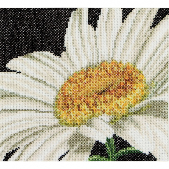 38245_Набор для вышивания "Ромашка", канва аида 18 ct