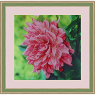 Набор для вышивания бисером "Георгин"