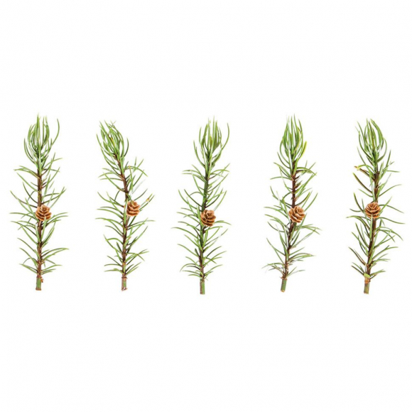 127379_Декоративная ветка лиственницы с шишкой