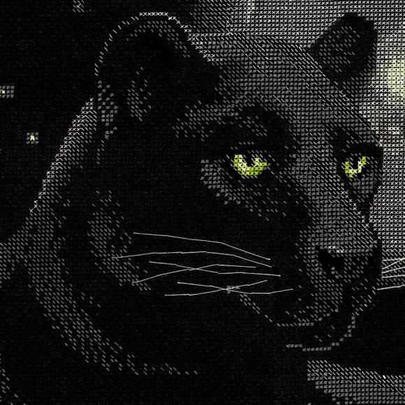 Набор для вышивания РИОЛИС арт.100/010 Полнолуние 48х48 см Набор для вышивания РИОЛИС арт.100/010 Полнолуние 48х48 см