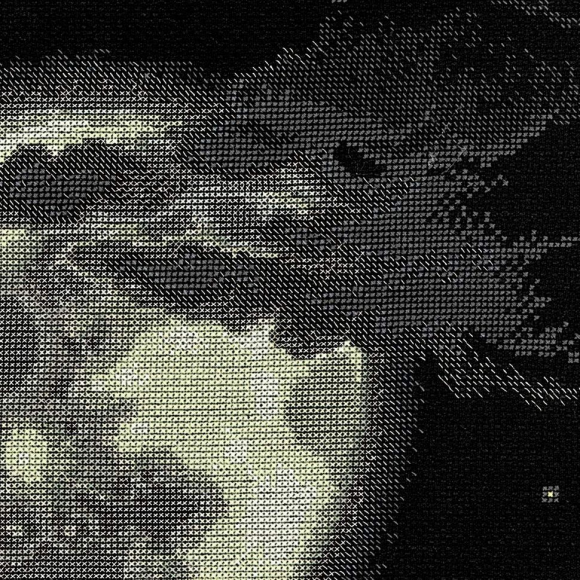 Набор для вышивания РИОЛИС арт.100/010 Полнолуние 48х48 см Набор для вышивания РИОЛИС арт.100/010 Полнолуние 48х48 см