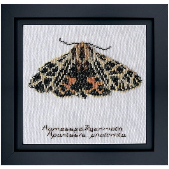 Набор для вышивания THEA GOUVERNEUR арт.569A Тигровый мотылёк 21х21 см