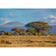 Пазл ФРЕЯ арт.PZL-2000/16 Саванна 67,5х97,5 см