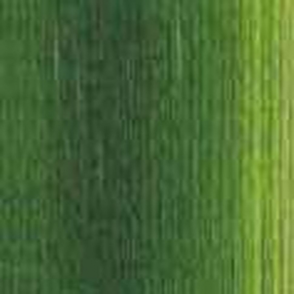 39713_Мулине "Finca"("Финка"), мультиколорный цвет 9860