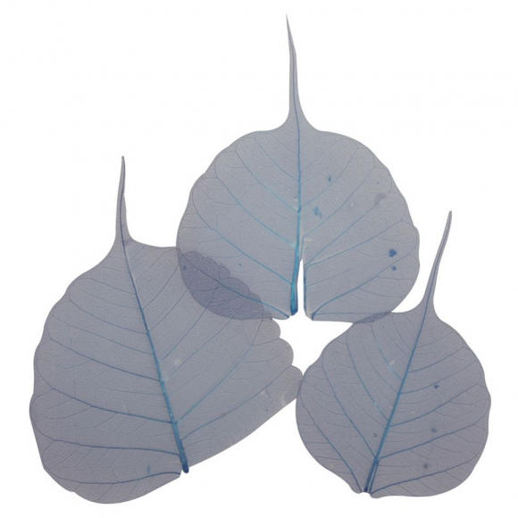 121227_Листья сухие для декора