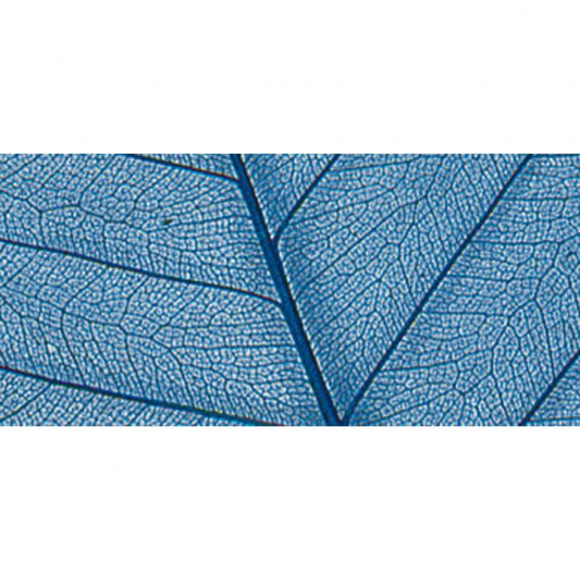 121227_Листья сухие для декора