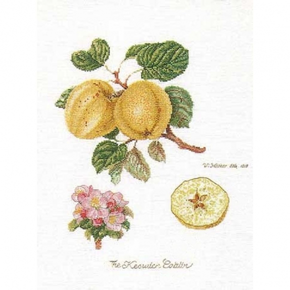 Набор для вышивания THEA GOUVERNEUR арт.2057 Ветка яблони 26х35 см