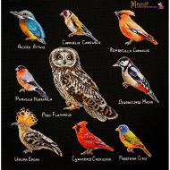 Набор для вышивания МАРЬЯ ИСКУСНИЦА арт.14.001.10 Птицы 40х40 см