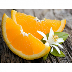 Алмазная мозаика Ah34461 Дольки апельсина 30х40