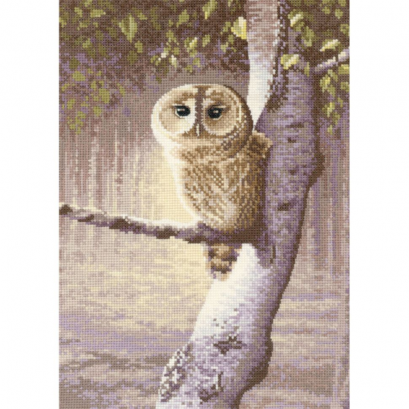 Набор для вышивания "Ночной сторож"