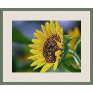 Набор для вышивания бисером "Подсолнух"