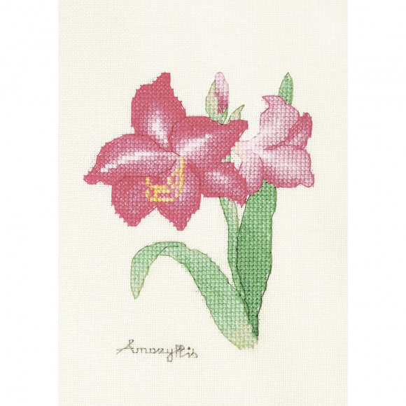 163774_Набор для вышивания "Амариллис"