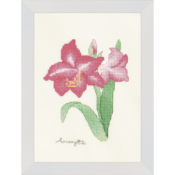 163774_Набор для вышивания "Амариллис"