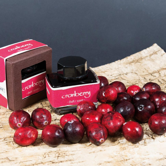 189725_Чернила "Ink of the Senses" для перьевых ручек, 15 мл, с ароматом клюквы, цвет красный