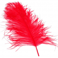 Перо страуса арт.S-400-6 40-45 см цв.красный уп.5 шт.