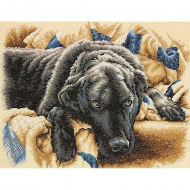 Набор для вышивания DIMENSIONS арт.DMS-70-35321 Запретный плод 36х28 см Набор для вышивания DIMENSIONS арт.DMS-70-35321 Запретный плод 36х28 см