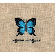 Набор для вышивания Le Bonheur des Dames арт.3628 Papillons Ulysses Autolycus (Бабочка Ulysses Autolycus) 5х5,5 см