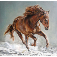 Картины по номерам Molly арт.KH0683 Рысак (17 цветов) 30х30 см