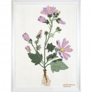 186795_Набор для вышивания: "Космея"