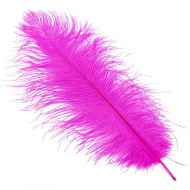Перо страуса арт.S-400-7 40-45 см цв.ярк.малиновый уп.5 шт.