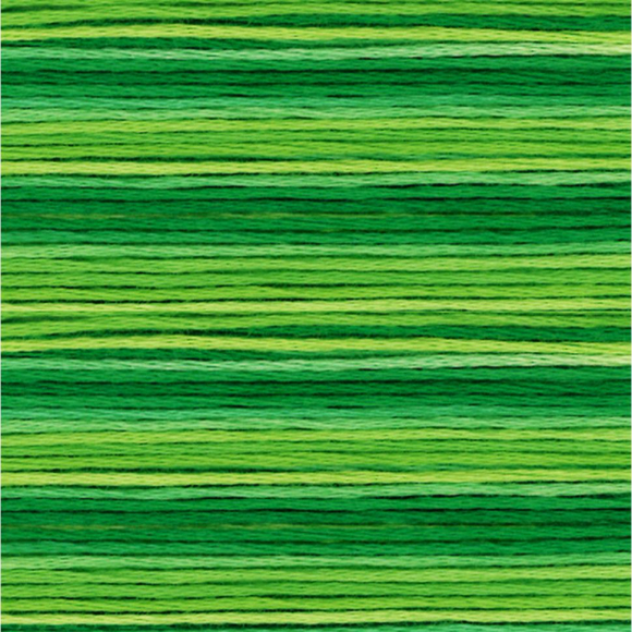 164873_Мулине Cosmo меланж Seasons 8022