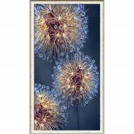 Рисунок на ткани КОНЁК арт. 8514 Искристые одуванчики 25х45 см