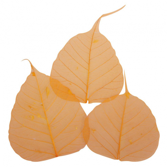 121233_Листья сухие для декора