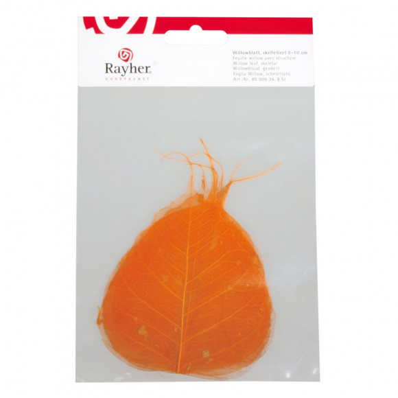 121233_Листья сухие для декора