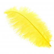 Перо страуса арт.S-400-9 40-45 см цв.желтый уп.5 шт.
