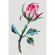 Набор для вышивания PANNA Живая картина арт. JK-2196 Розовый бутон 8х5,5 см