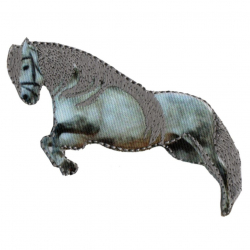 85788_Термоаппликация HKM "Pony steigend wei?"