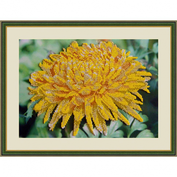 Набор для вышивания бисером GALLA COLLECTION арт.Л 311 Хризантема 32х22 см Набор для вышивания бисером GALLA COLLECTION арт.Л 311 Хризантема 32х22 см