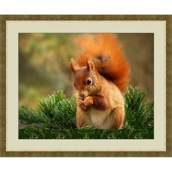 Набор для вышивания бисером GALLA COLLECTION арт.А 405 Белка 31х24 см Набор для вышивания бисером GALLA COLLECTION арт.А 405 Белка 31х24 см