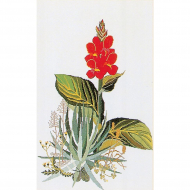 Набор для вышивания THEA GOUVERNEUR арт.846 Юкка 48х68 см