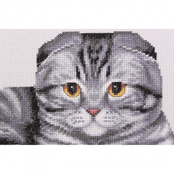 Набор для вышивания PANNA арт. K-7221 Шотландский вислоухий кот 33х23,5 см