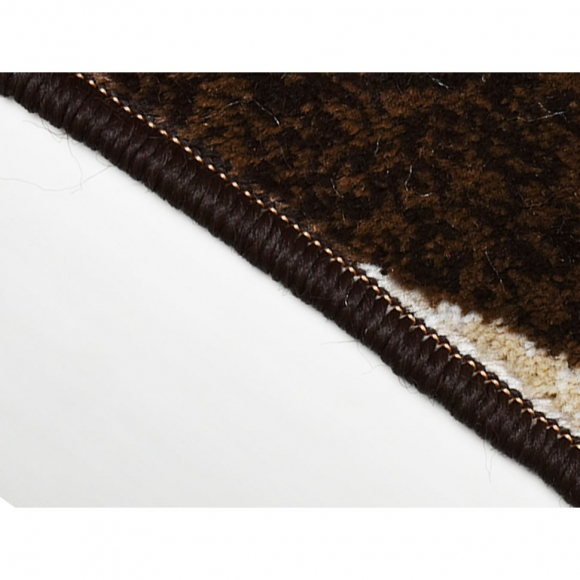 Ковровый оверлок A-2502 Aurora