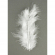 130456_Перья декоративные