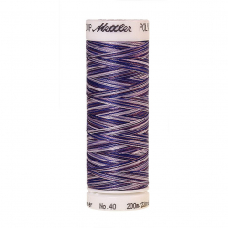 22811_Нить вышивальная мультиколор POLY SHEEN MULTI, 200 м