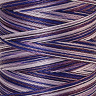 22811_Нить вышивальная мультиколор POLY SHEEN MULTI, 200 м