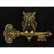 Набор для вышивания СДЕЛАЙ СВОИМИ РУКАМИ арт.К-36 Ключ мудрости 23х34 см