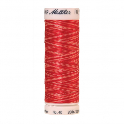 22814_Нить вышивальная мультиколор POLY SHEEN MULTI, 200 м