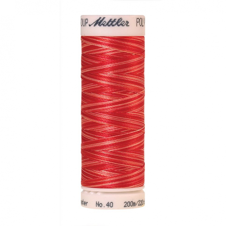 22814_Нить вышивальная мультиколор POLY SHEEN MULTI, 200 м