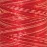 22814_Нить вышивальная мультиколор POLY SHEEN MULTI, 200 м