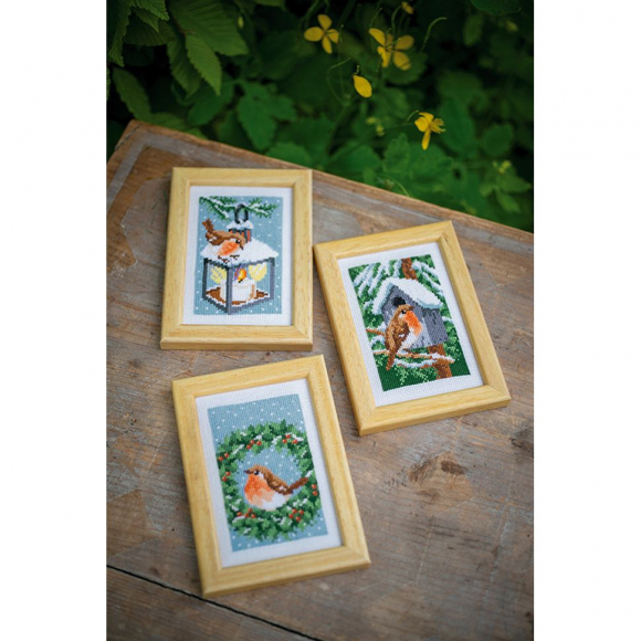 178252_Набор для вышивания "Малиновка"