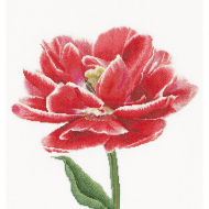 Набор для вышивания THEA GOUVERNEUR арт.520 Ранний, красно-белый тюльпан 34х36 см Набор для вышивания THEA GOUVERNEUR арт.520 Ранний, красно-белый тюльпан 34х36 см