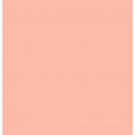 Ткань Кулирная гладь арт.КЛ.25062 плотная 50х45см (±1см) роз. перс. Ткань Кулирная гладь арт.КЛ.25062 плотная 50х45см (±1см) роз. перс.