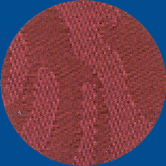 15805_Канва Rose, ширина 170см. цвет №9004,