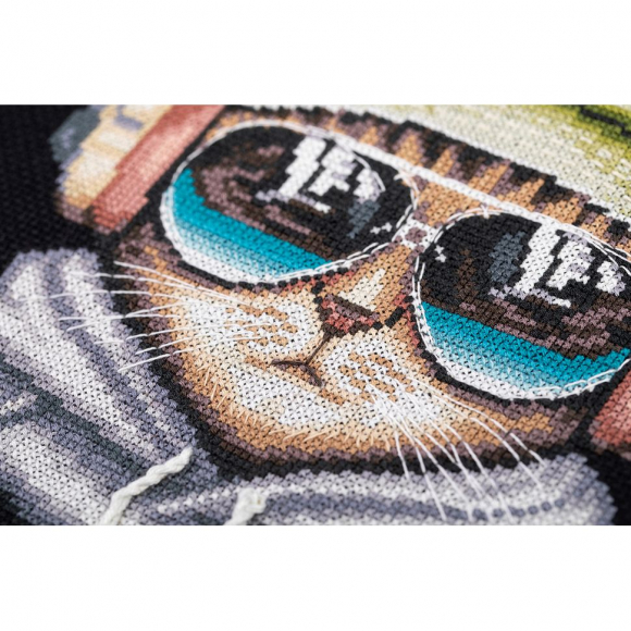 Набор для вышивания PANNA арт. J-7360 Меломан Стенли 18х22,5 см Набор для вышивания PANNA арт. J-7360 Меломан Стенли 18х22,5 см